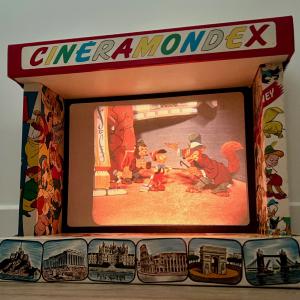 PROJECTION DU PROJEX SUR L'ECRAN CINERAMONDEX